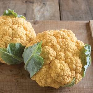 Cauliflower - Flame Star - F1