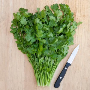 Herbs Cilantro - Leisure