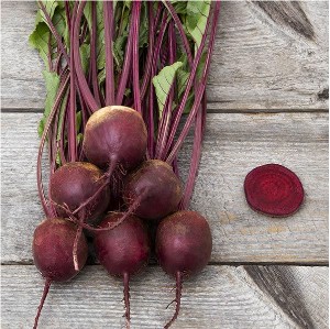 Beet - Rhonda - F1
