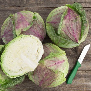 Winter Cabbage - Deadon - F1