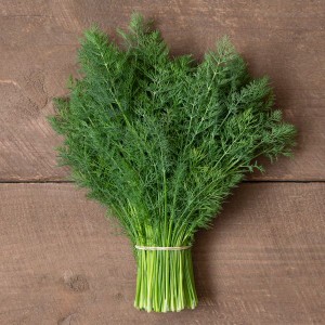 Herbs Dill - Delight - OP