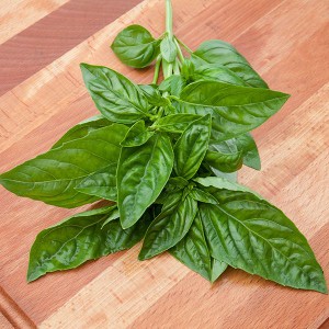 Herbs Basil - Italian Large Leaf - OP