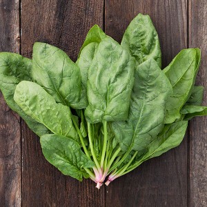 Spinach - Renegade - F1
