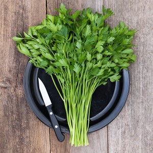 Parsley - Italian Flat Leaf - OP