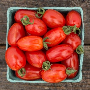 Tomato - Supernova