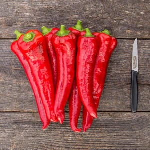 Pepper - Carmen - F1