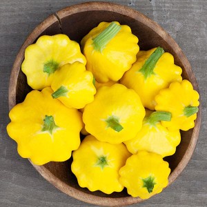 Summer Squash - Y-Star - F1