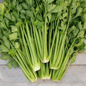 Celery - Tango - OP
