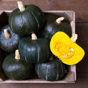 Winter Squash - Burgess Buttercup - OP